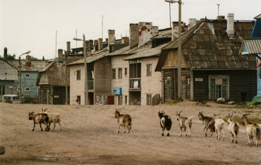 Frontier Town