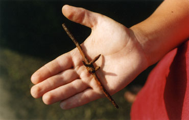 Barbed wire found on beach by boy