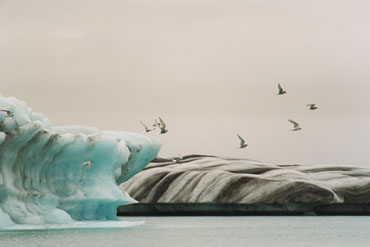 Jokulsarlon fragment   I