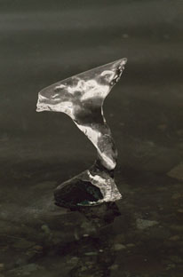 Jokulsarlon detail   I