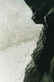 Svartifoss fragment   II