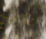 Svartifoss