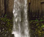 Svartifoss - the falls